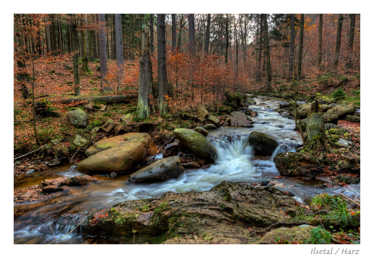 Wildromantisches Ilsetal (5)