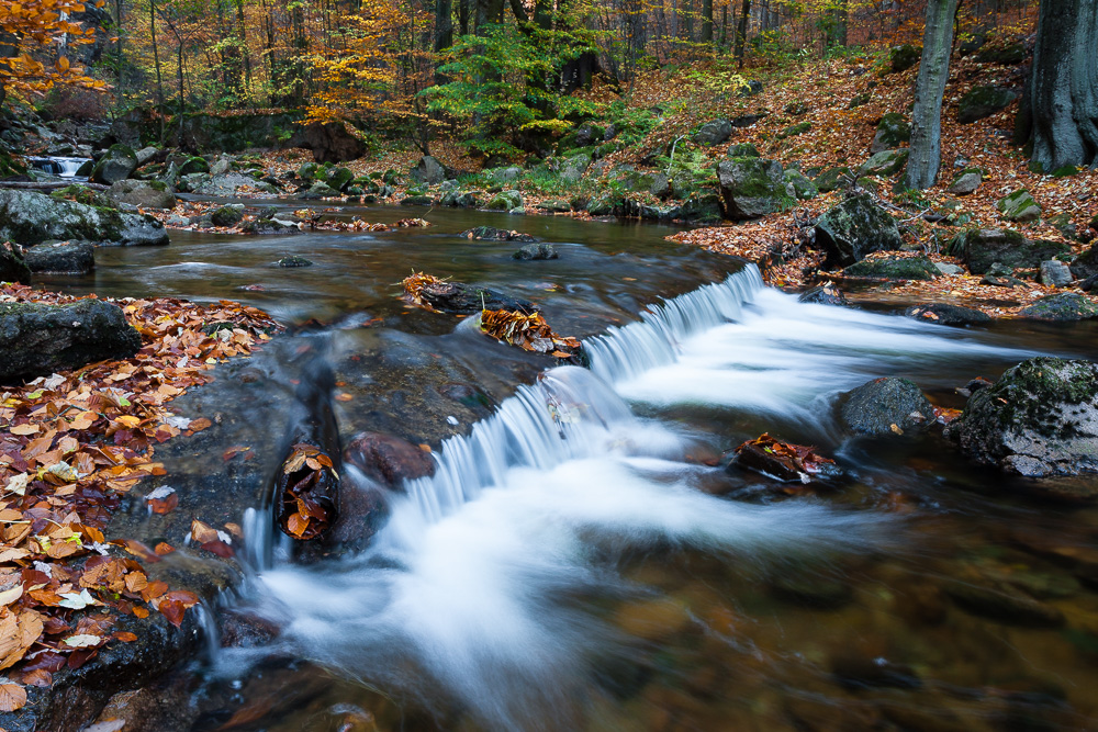 Wildromantisches Ilsetal im Harz