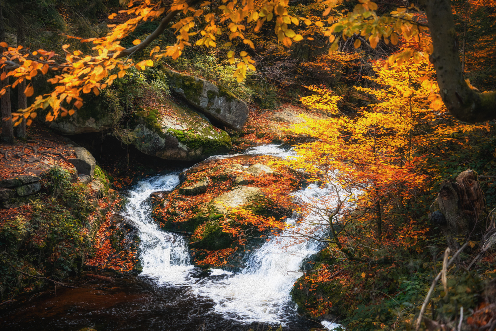 Wildromantisches Ilsetal im Herbst