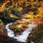 Wildromantisches Ilsetal im Herbst