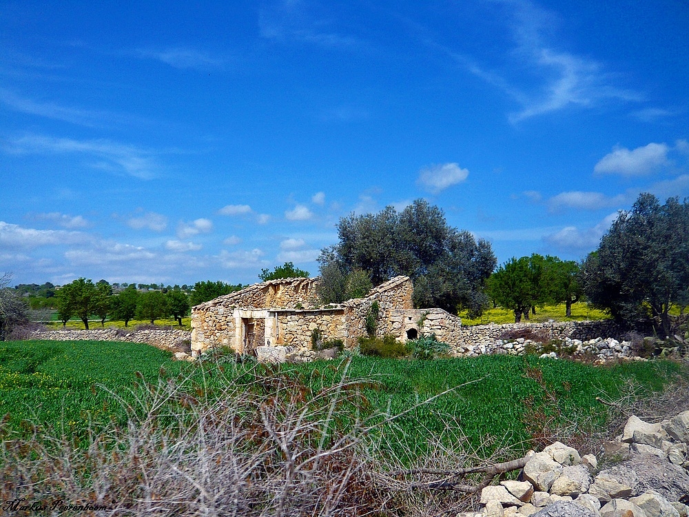 Wildromantisches Mallorca