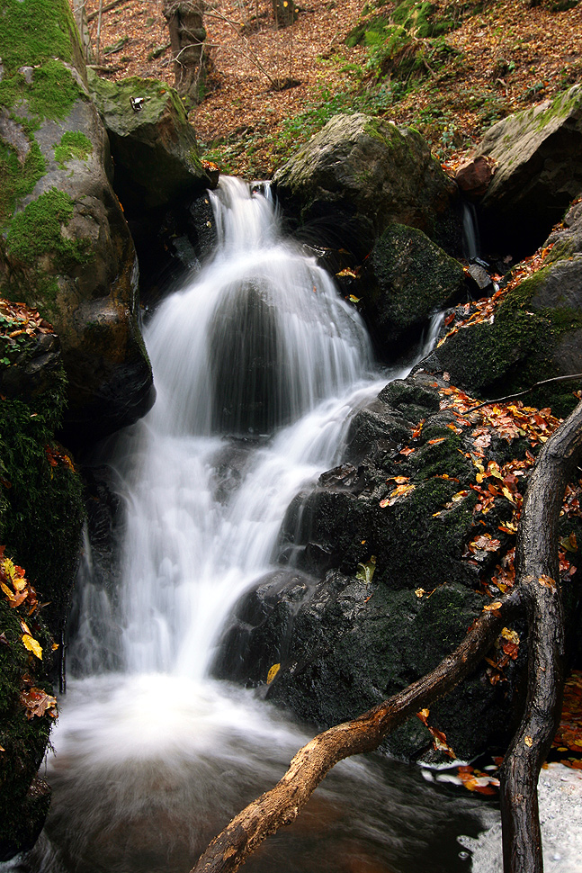 Wildromantisches Morgenbachtal (II)