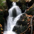 Wildromantisches Morgenbachtal (II)