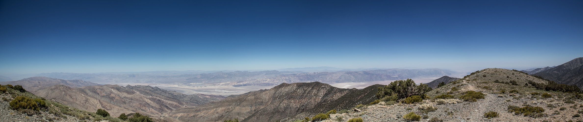 Wildrose Peak