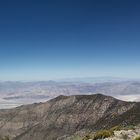 Wildrose Peak