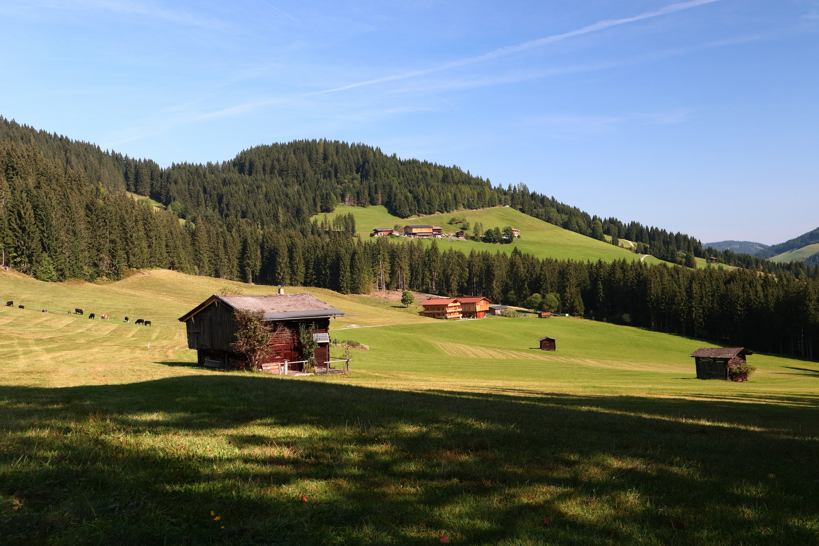 Wildschönau Österreich Tirol