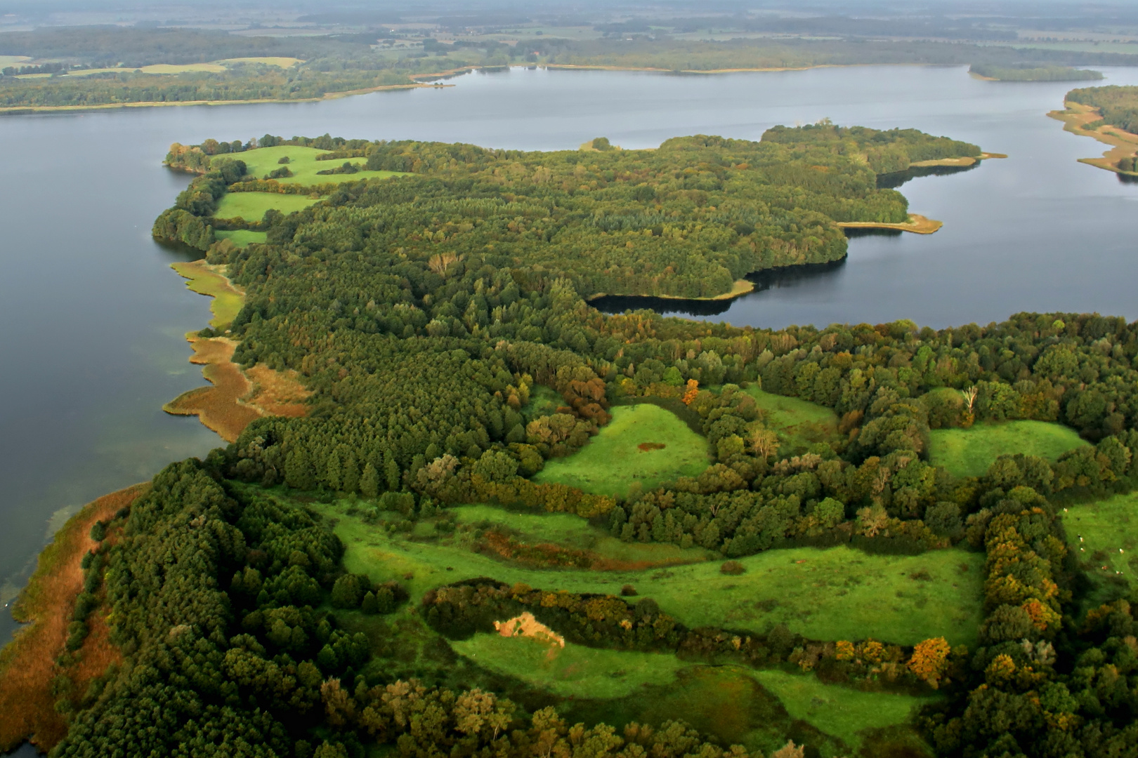 Wildschweinparadis am Schaalsee