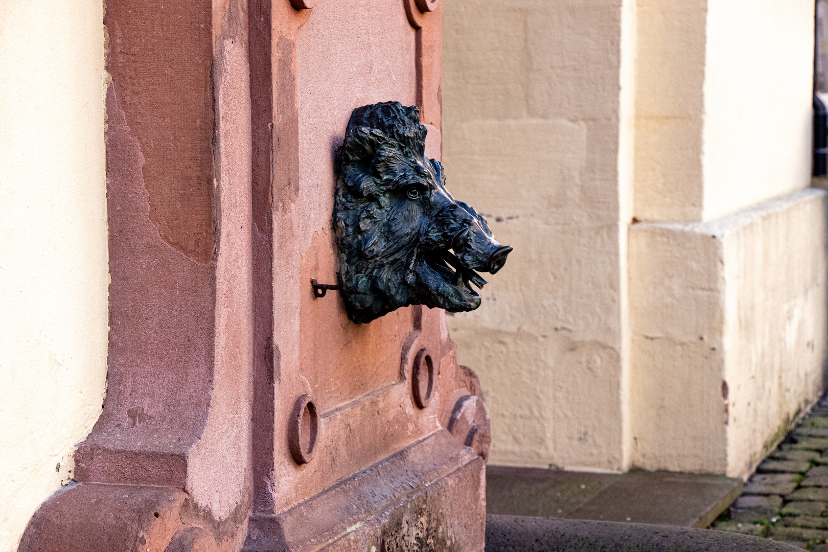 Wildschweinskulptur gesehen in Eberbach am Neckar