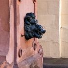 Wildschweinskulptur gesehen in Eberbach am Neckar
