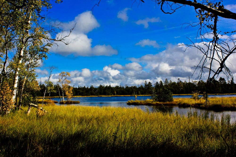 Wildsee von hubiausfreilse 