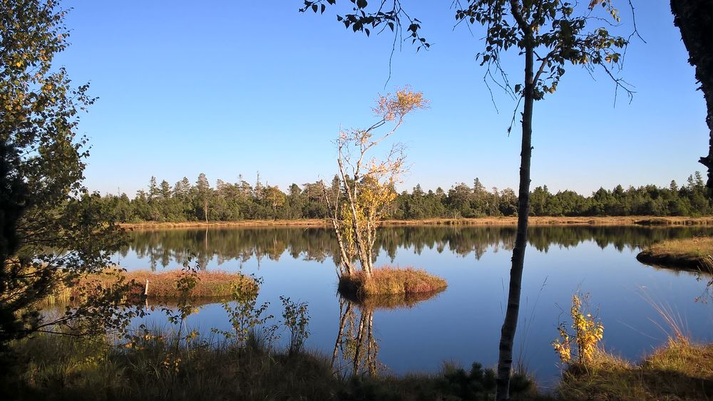 Wildsee am Kaltenbronn