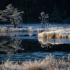 Wildsee auf dem Kaltenbronn (Nordschwarzwald)