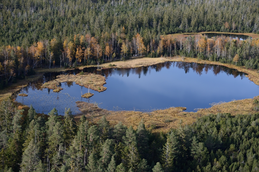 Wildsee bei Kaltenbronn