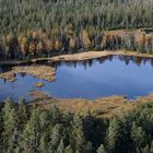 Wildsee bei Kaltenbronn