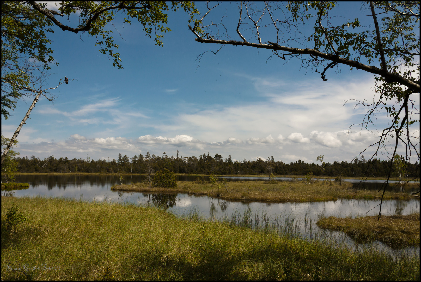 Wildsee bei Kaltenbronn