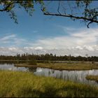 Wildsee bei Kaltenbronn