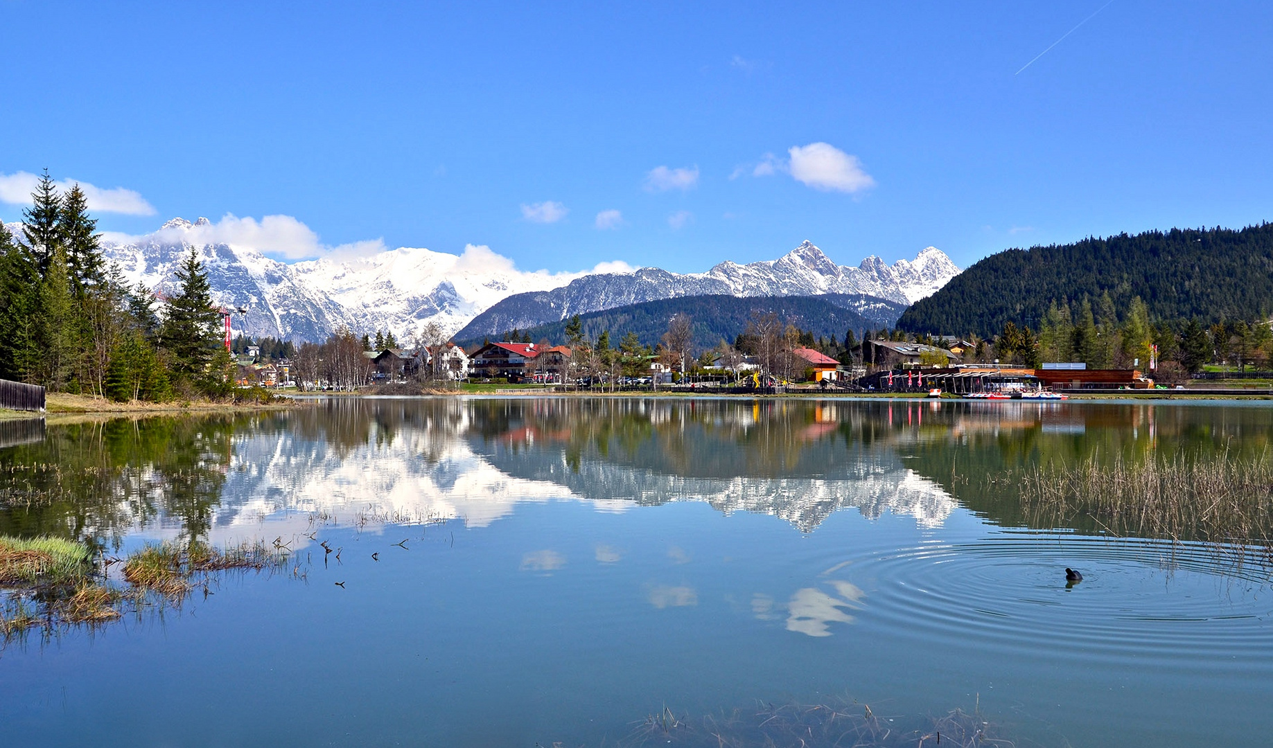 Wildsee bei Seefeld