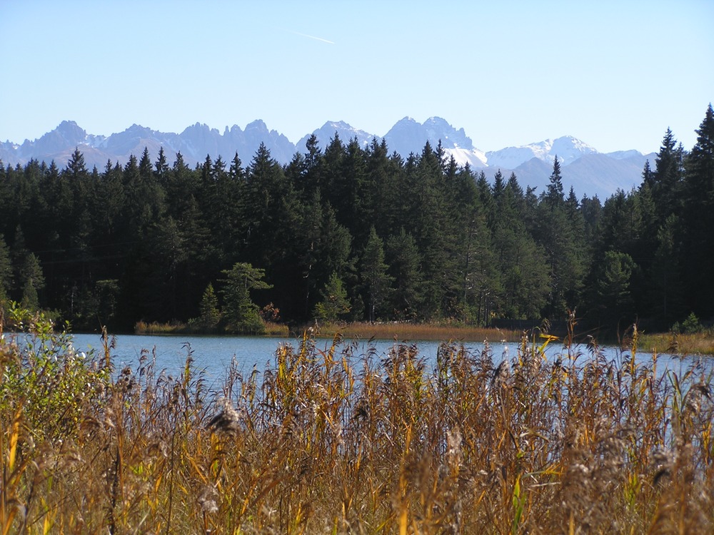 Wildsee bei Seefeld/Tirol