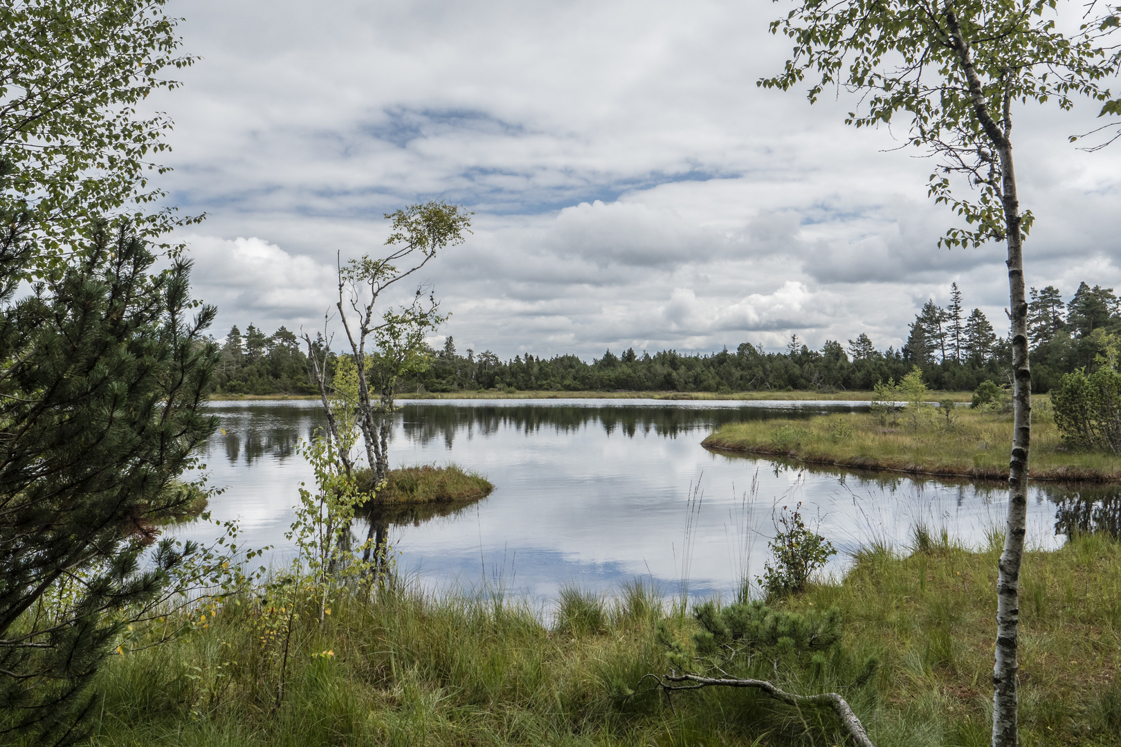 Wildsee-Hohmoor