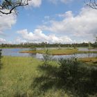 Wildsee im Nordschwarzwald