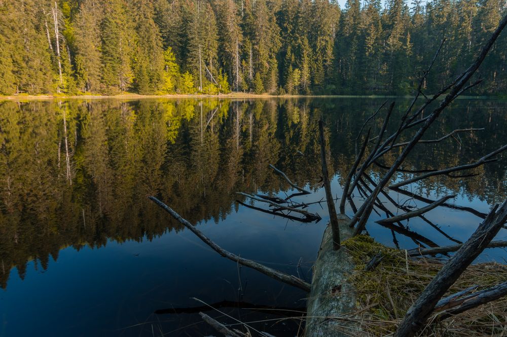 Wildsee im Schwarzwald