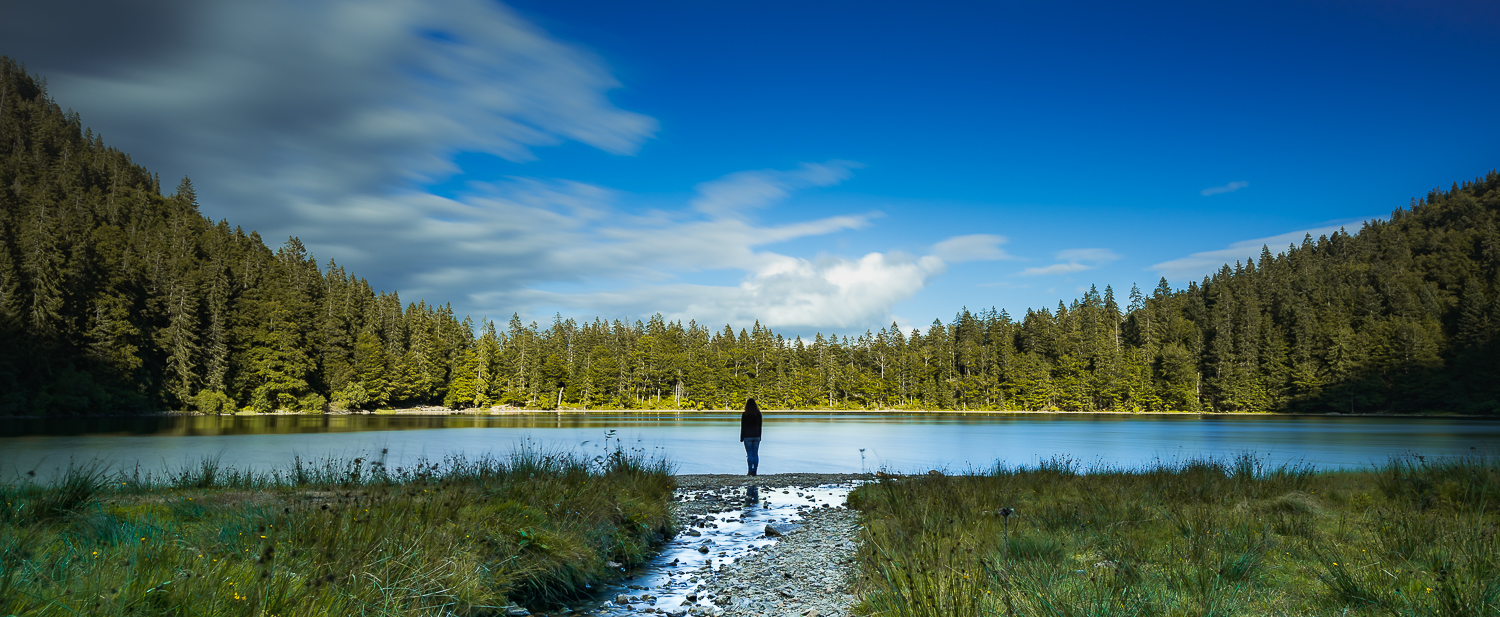 Wildsee im Schwarzwald 