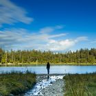 Wildsee im Schwarzwald 