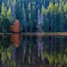 Wildsee, Kaarsee im Schwarzwald