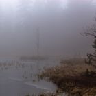 Wildsee (Kaltenbronn) Winternebel