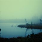 Wildsee (Nordschwarzwald) bei Nebel