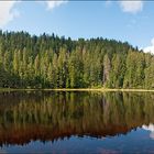 Wildsee-Panorama