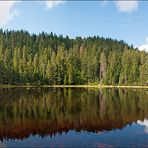 Wildsee-Panorama