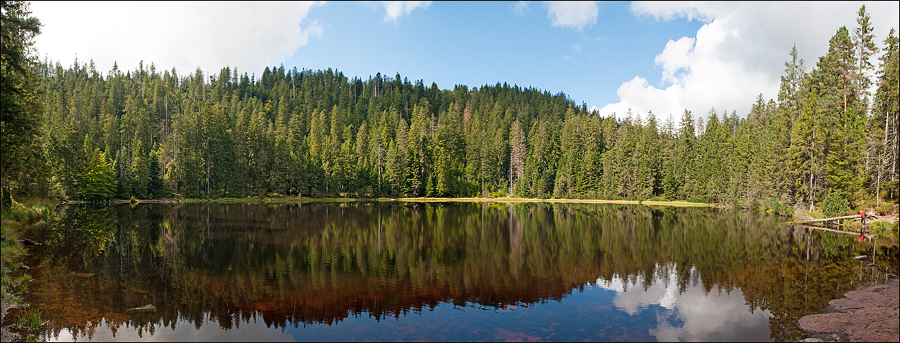 Wildsee-Panorama