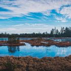 Wildseemoor im Schwarzwald