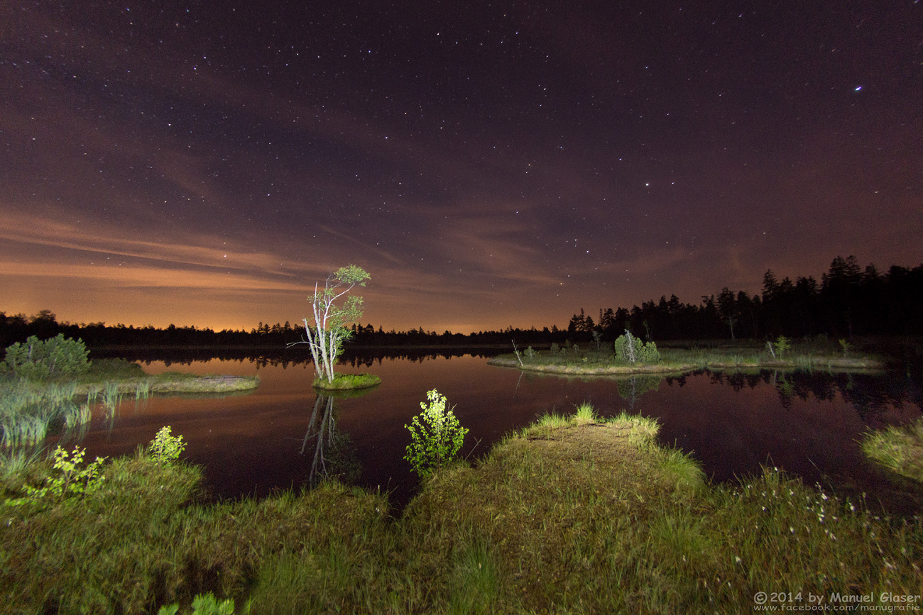 Wildsee@Night