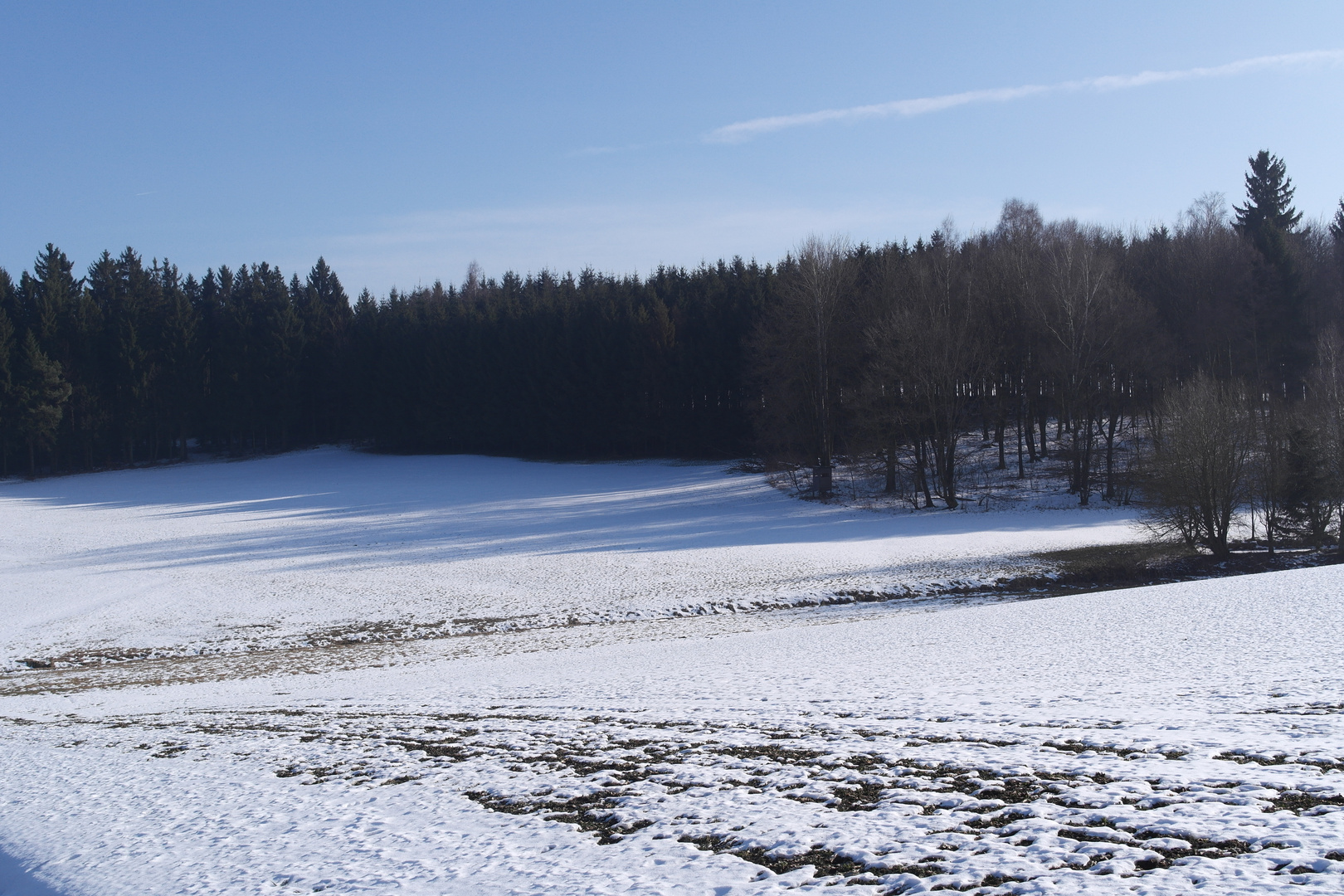 Wildspuren am Waldrand am Beginn des Kulturgrabens