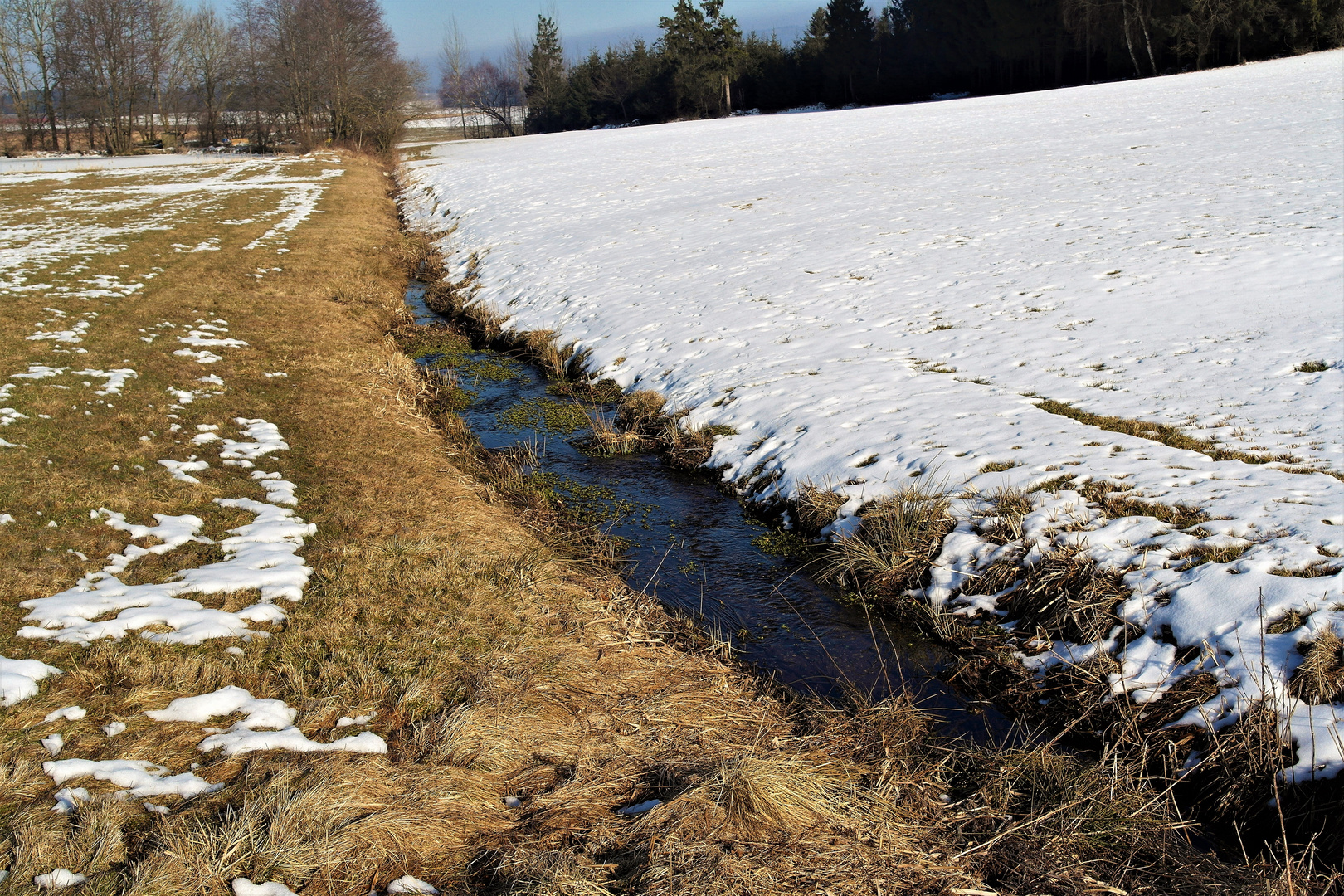 Wildspuren bis zum Wasser