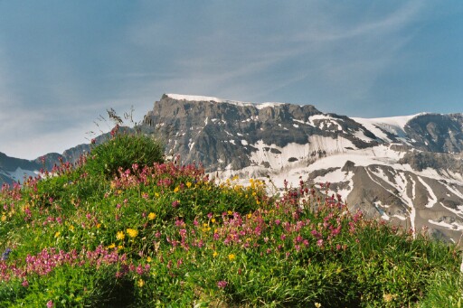 WILDSTRUBEL - Berner Oberland