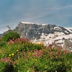 WILDSTRUBEL - Berner Oberland