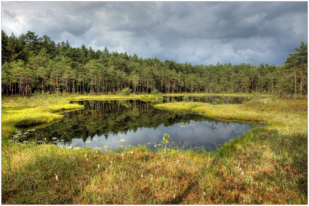 Wildtränke am Kielbiksee