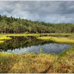 Wildtränke am Kielbiksee