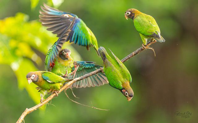 °°_WildUnterwegs_°°