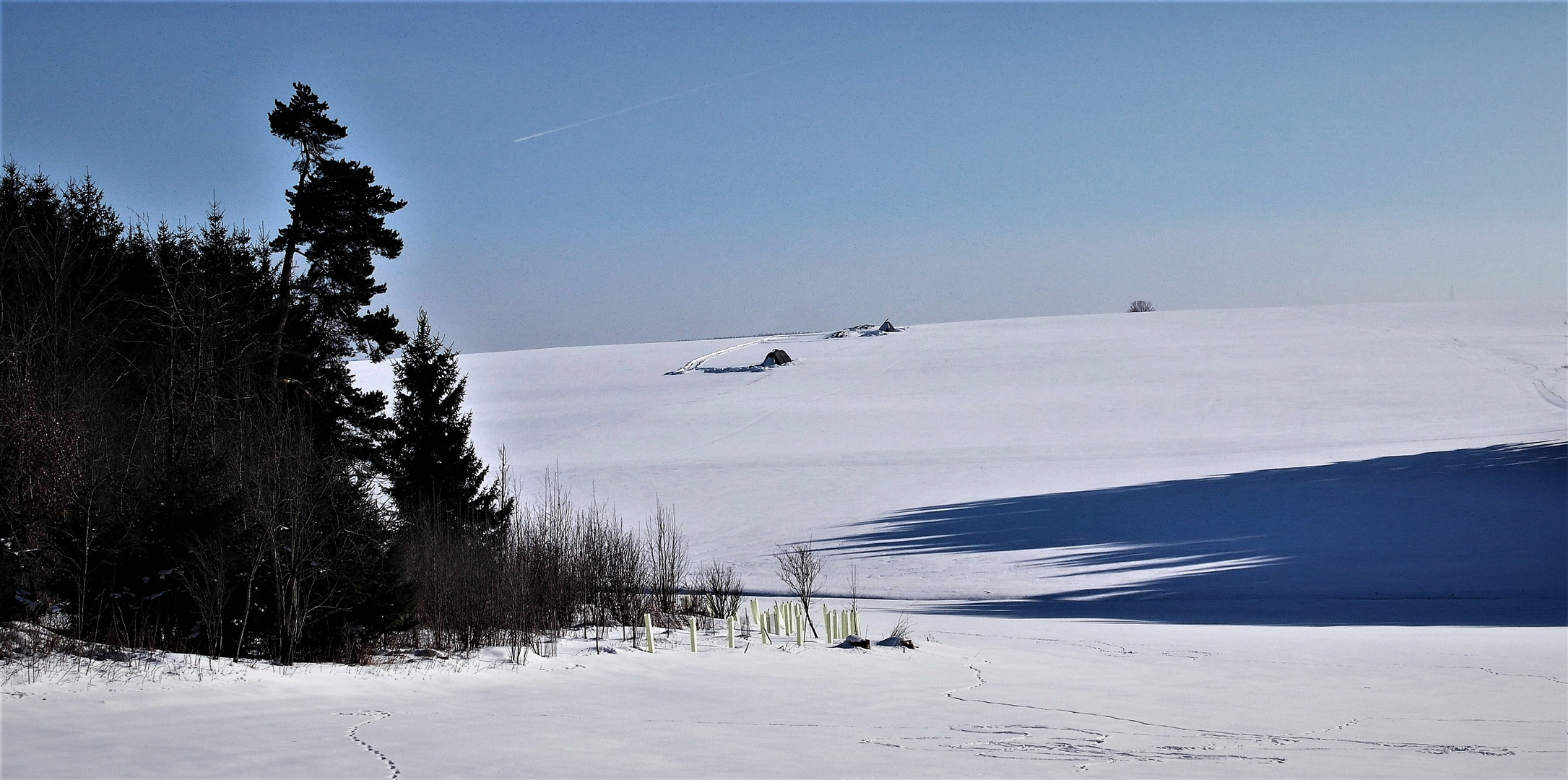 Wildverbisschutz,Winterfutterlagerung,Waldschatten