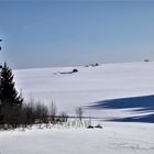 Wildverbisschutz,Winterfutterlagerung,Waldschatten