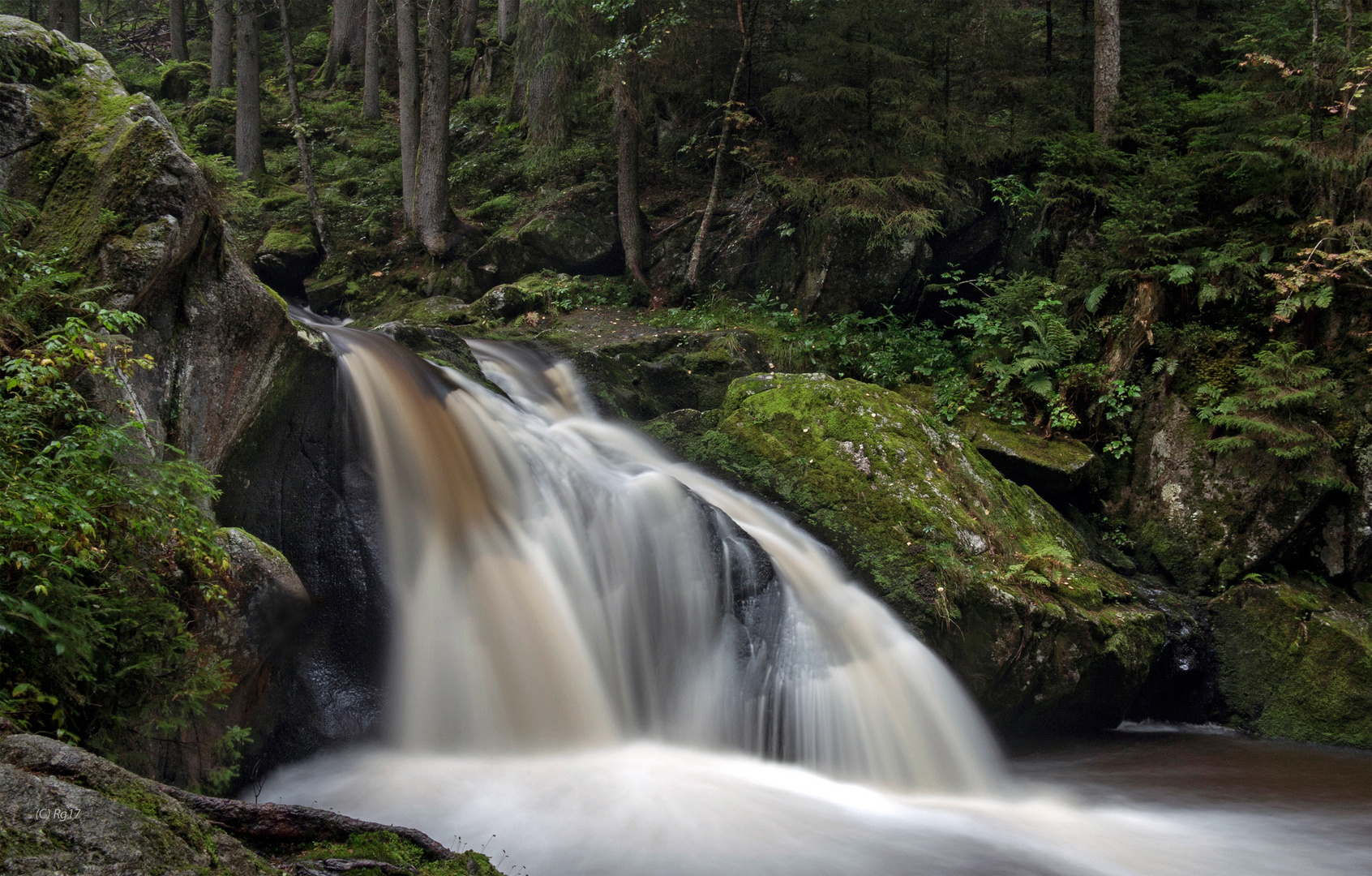 wildwasser