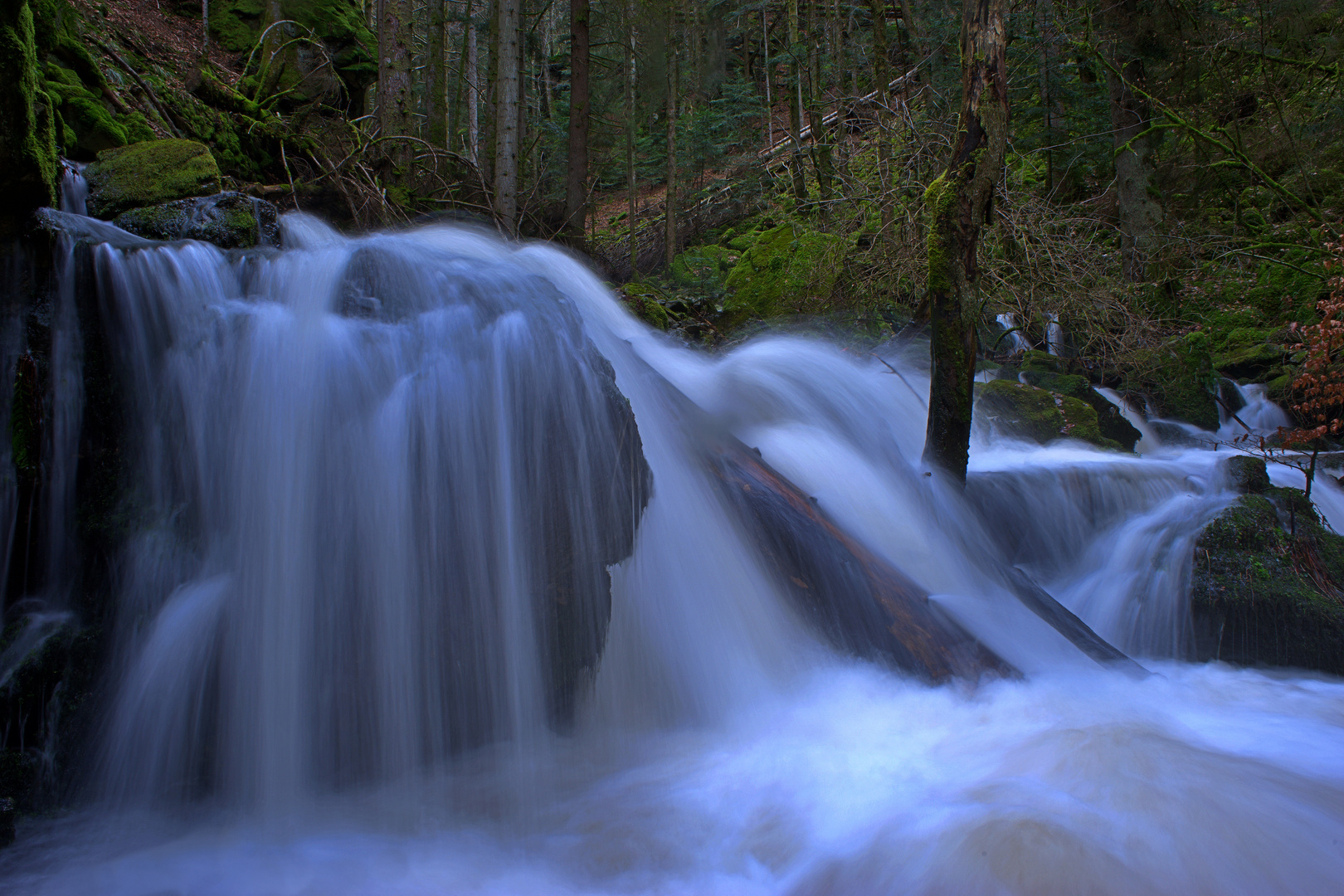 wildwasser