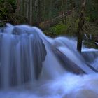 wildwasser