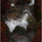 Wildwasser (4)