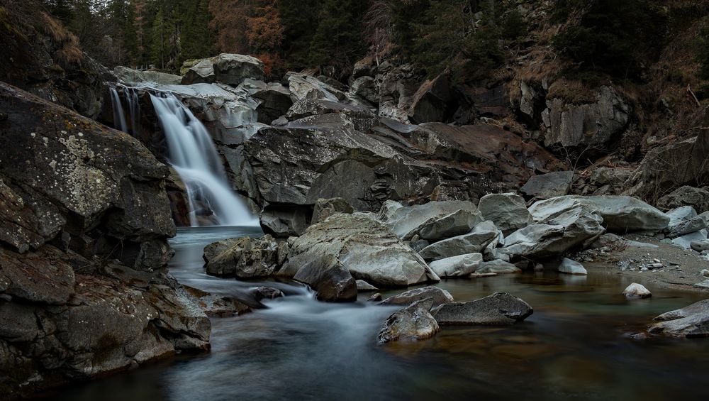 WILDWASSER