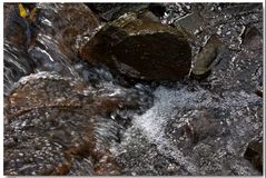 Wildwasser